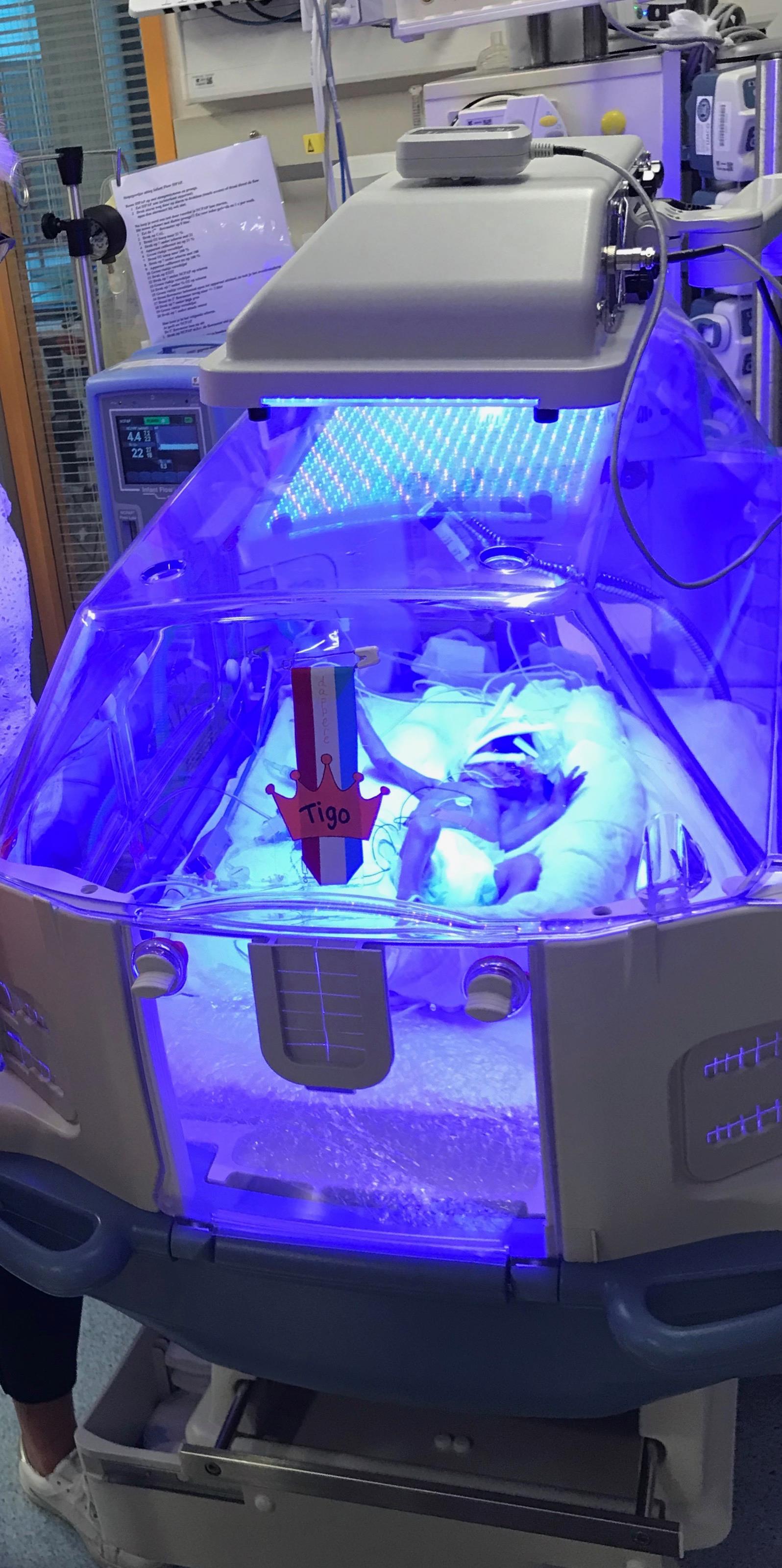 31689118 1948297155211495 9076995076051173376 n