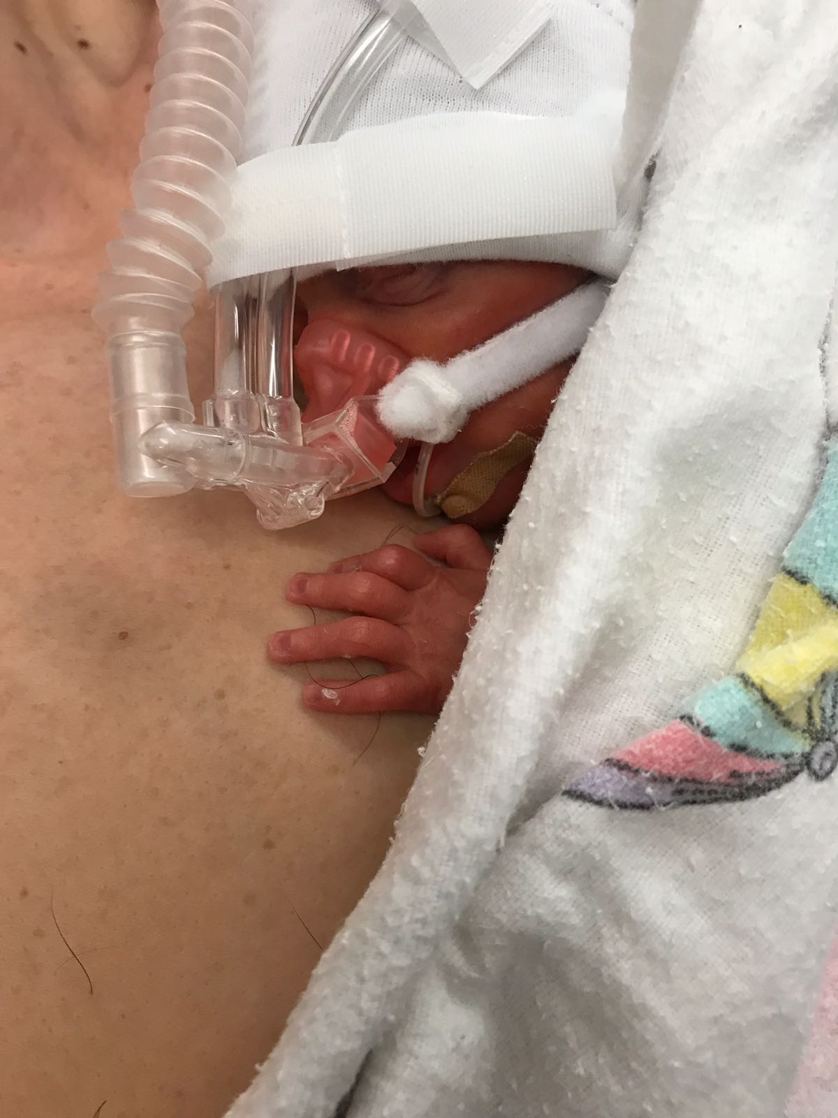 WhatsApp Image 2018 04 28 at 17.21.34