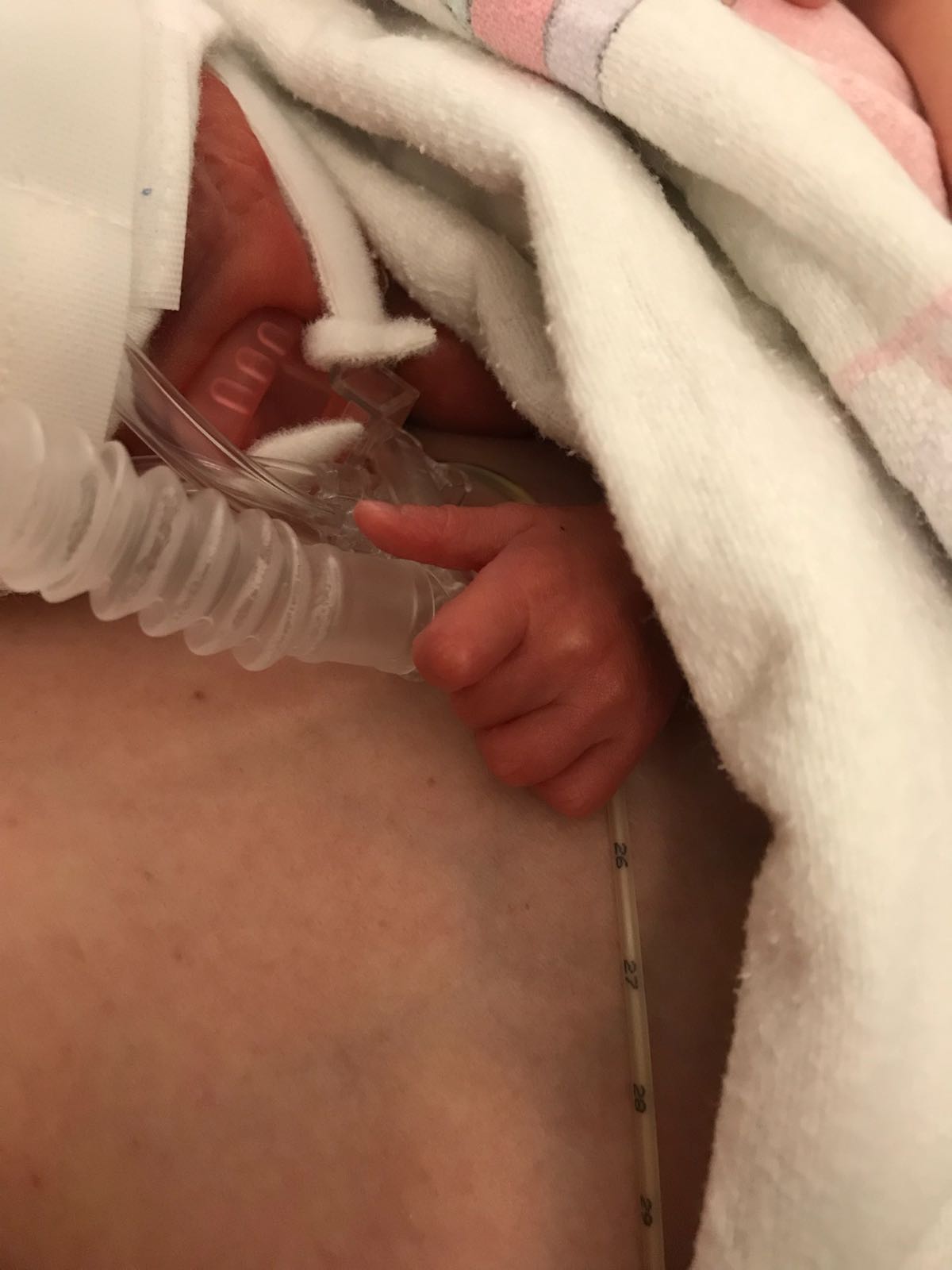 WhatsApp Image 2018 04 29 at 20.31.35