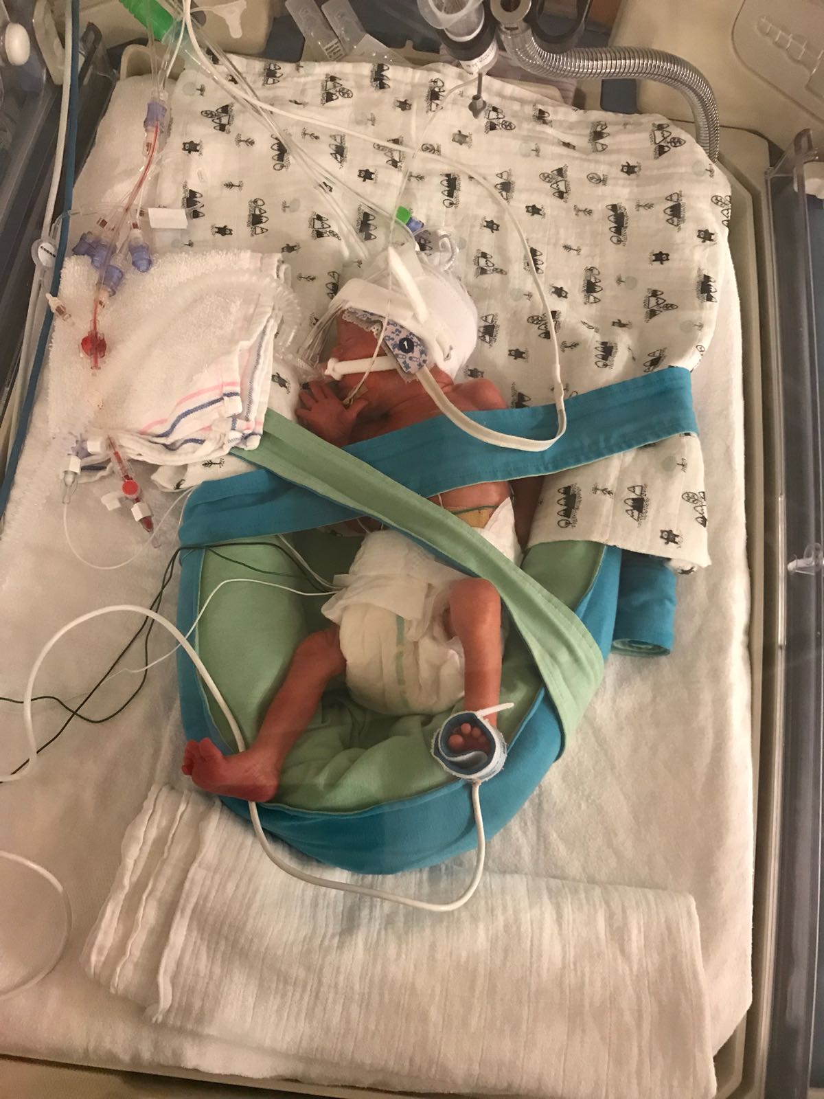 WhatsApp Image 2018 04 30 at 22.13.59