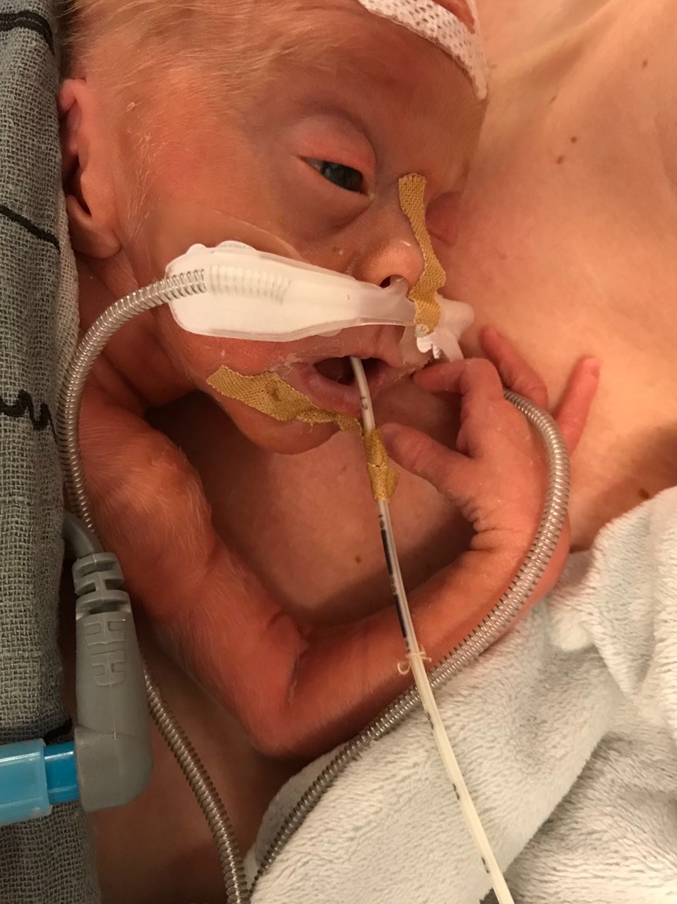 WhatsApp Image 2018 05 03 at 16.53.23