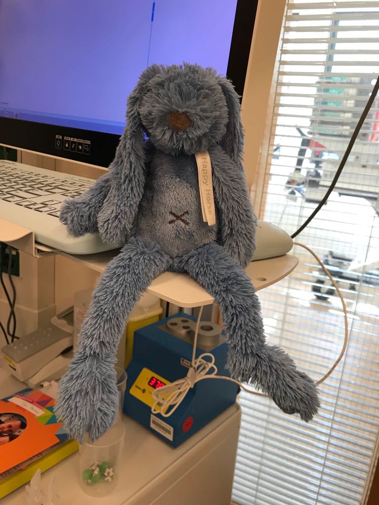 WhatsApp Image 2018 05 05 at 18.51.48