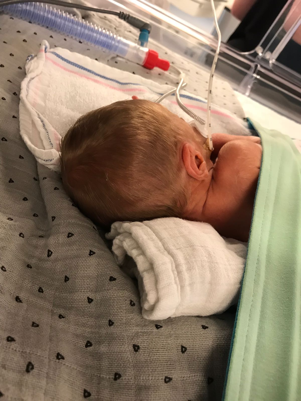 WhatsApp Image 2018 05 06 at 14.40.31