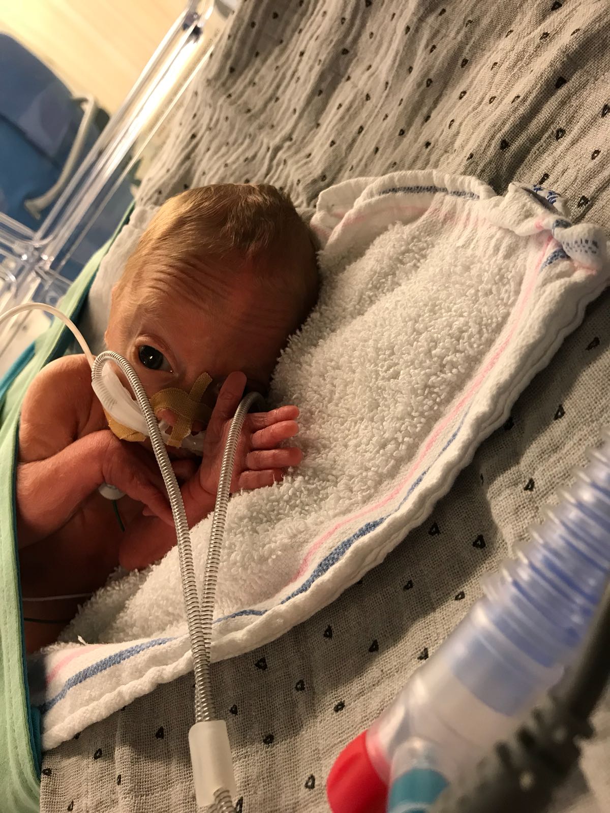 WhatsApp Image 2018 05 06 at 14.40.31 1