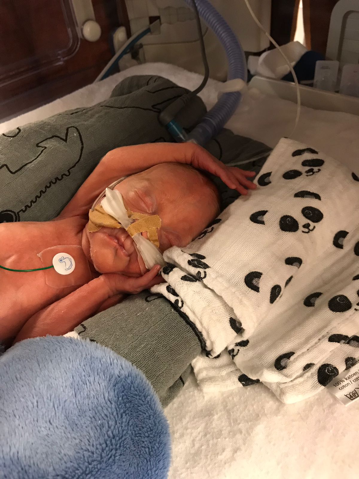 WhatsApp Image 2018 05 09 at 20.28.32