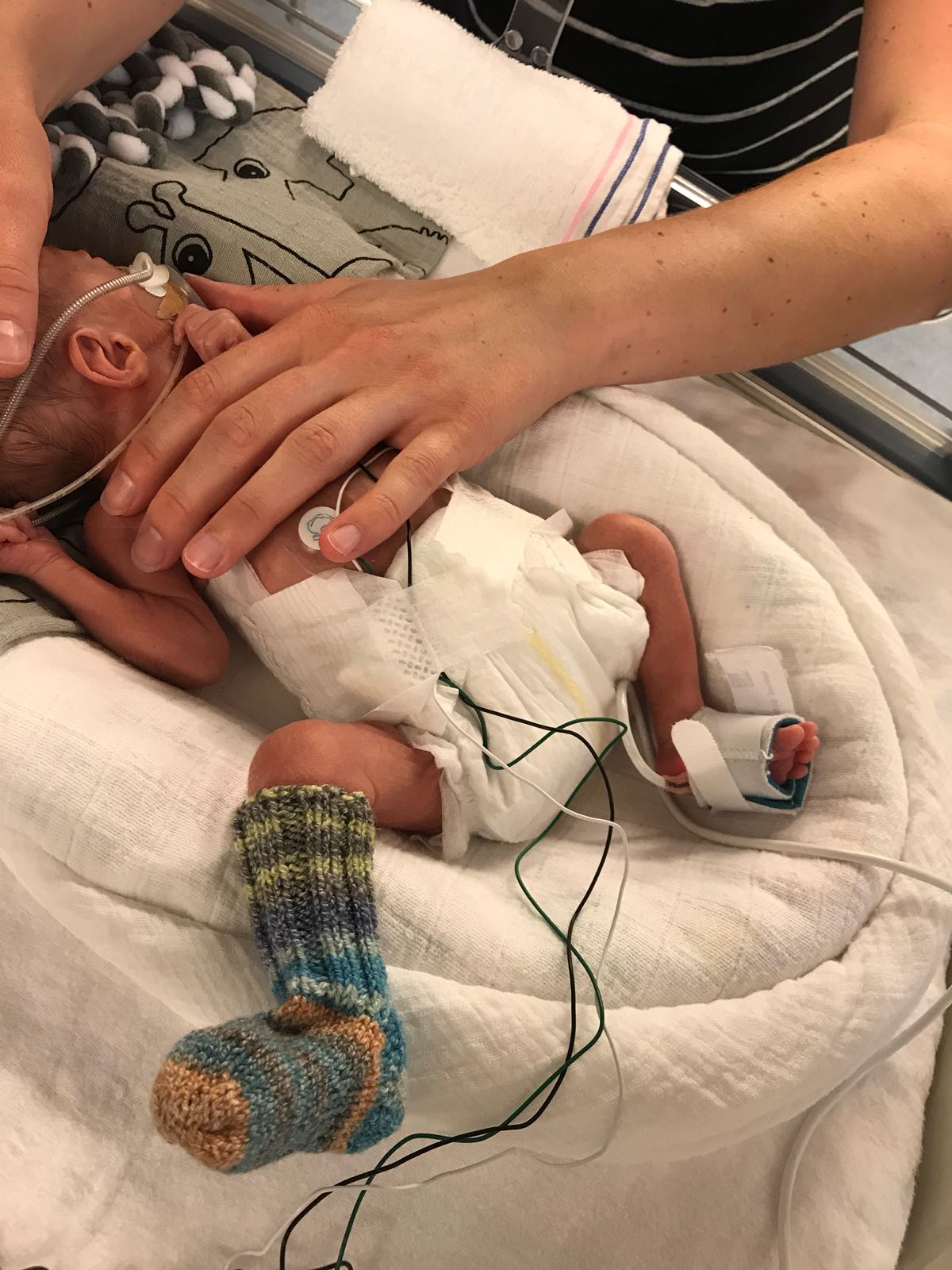 WhatsApp Image 2018 05 11 at 18.26.37