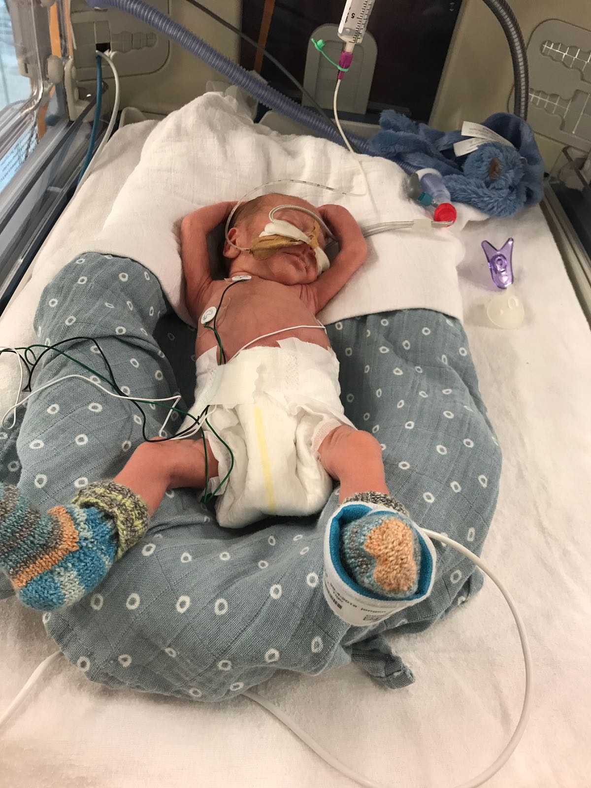 WhatsApp Image 2018 05 12 at 20.46.43