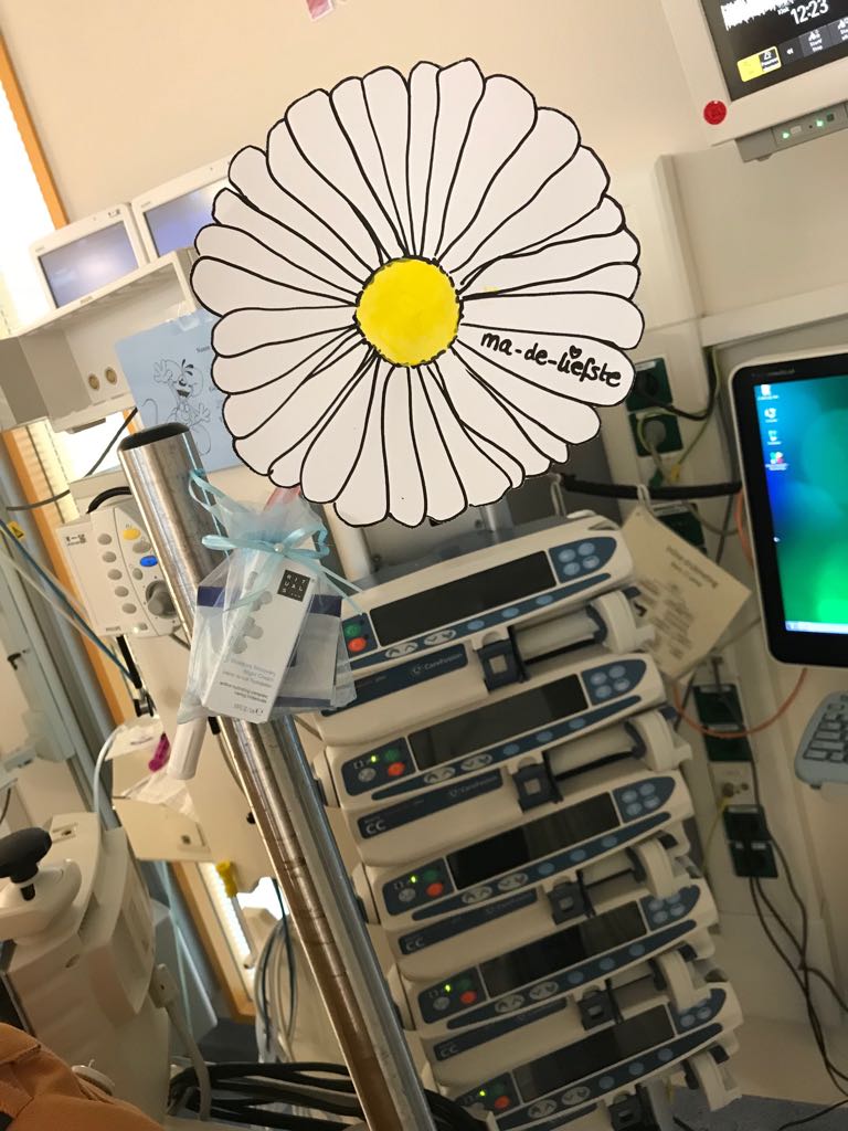 WhatsApp Image 2018 05 13 at 15.47.14