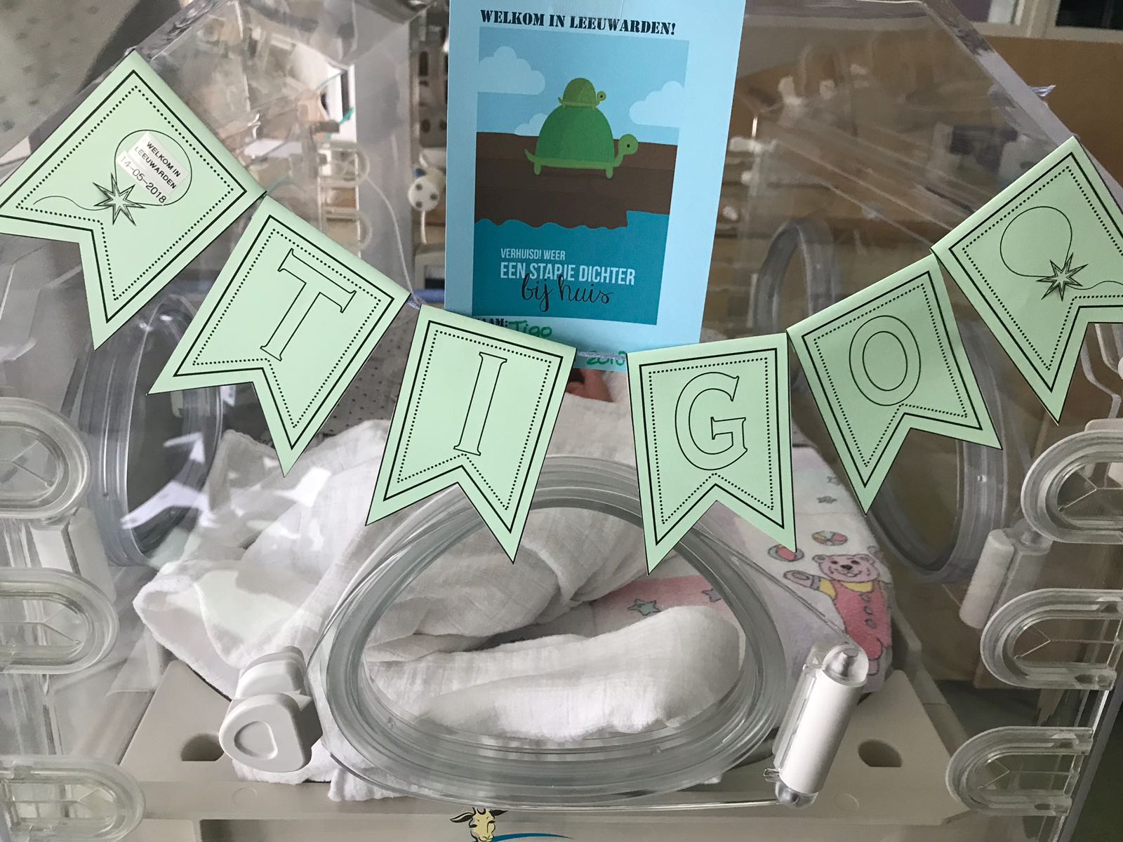 WhatsApp Image 2018 05 14 at 19.54.55