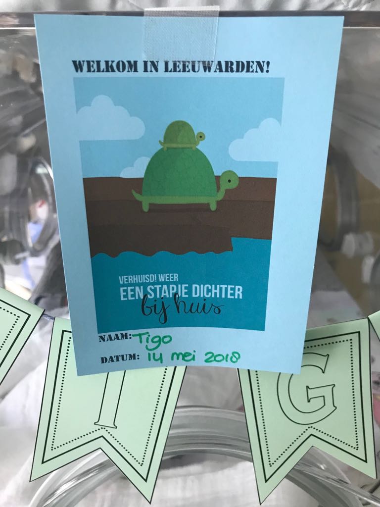 WhatsApp Image 2018 05 15 at 19.21.14