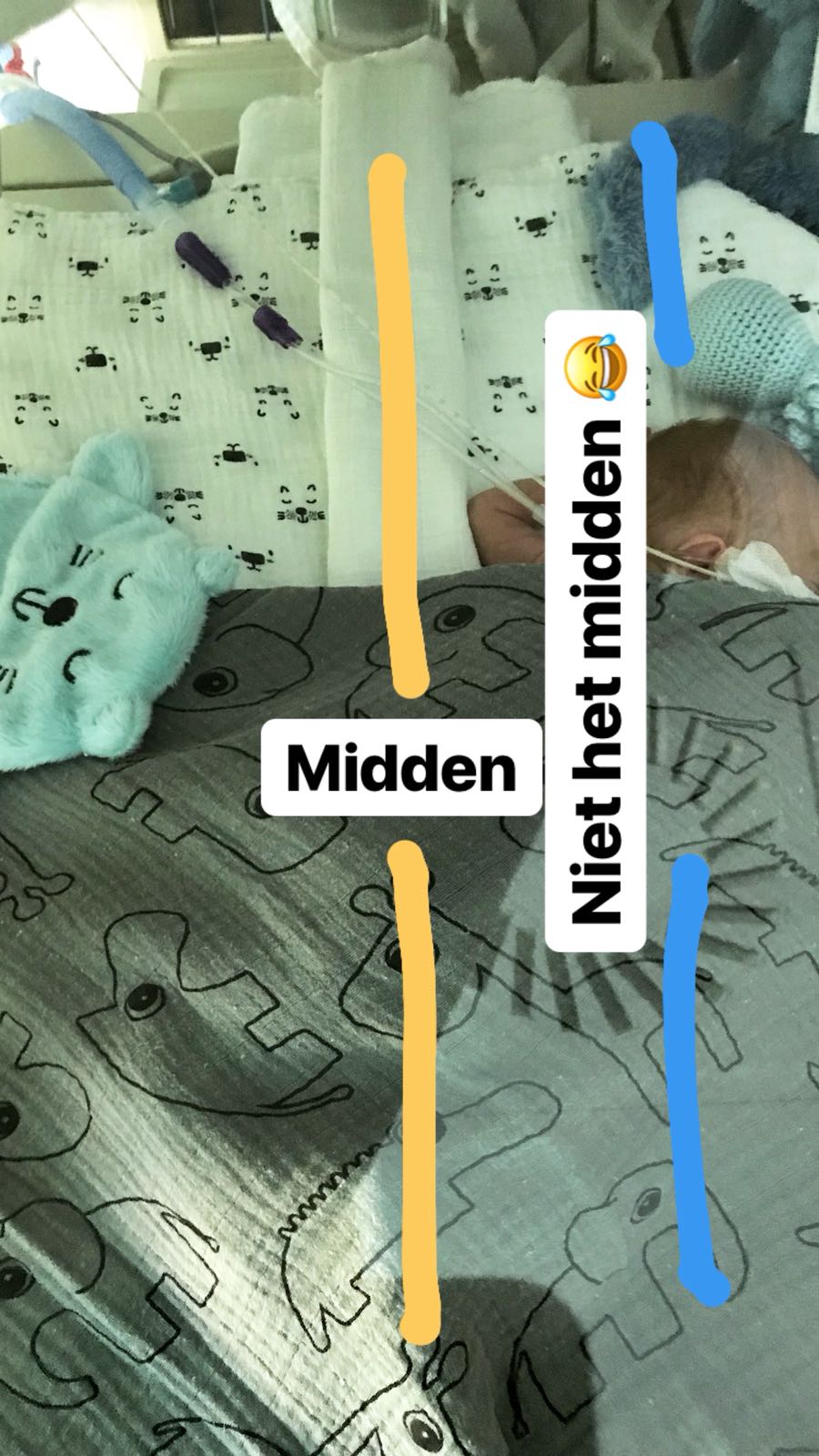 WhatsApp Image 2018 05 16 at 19.00.47