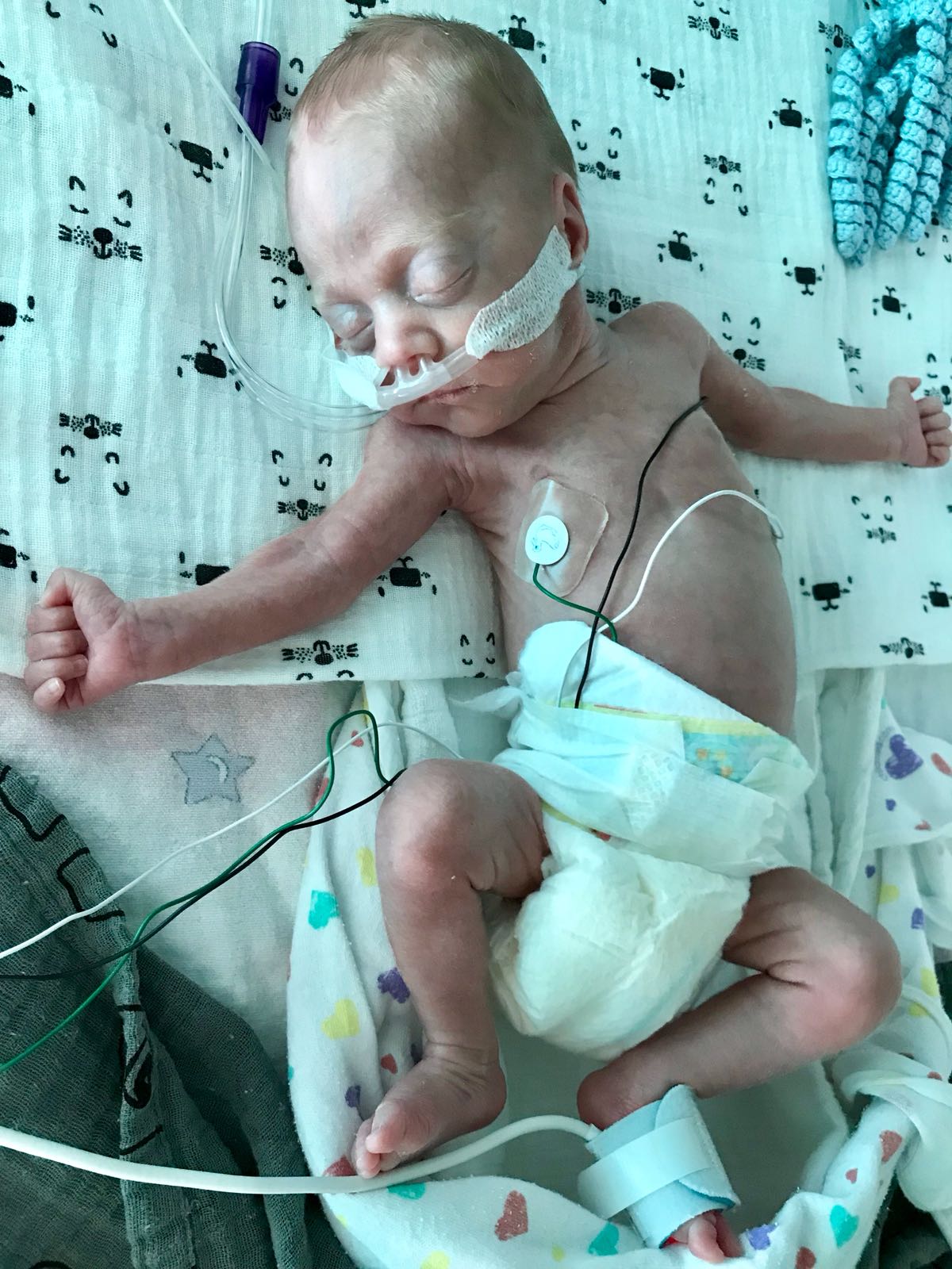 WhatsApp Image 2018 05 16 at 19.00.48