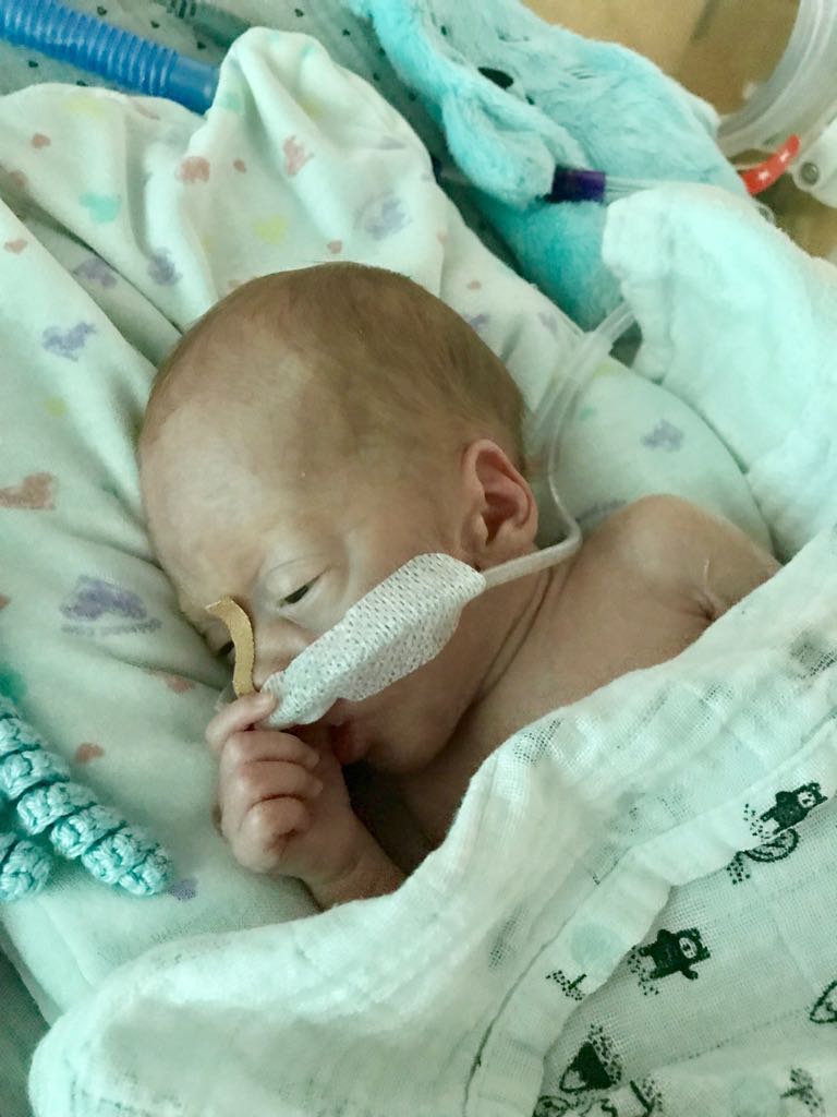 WhatsApp Image 2018 05 17 at 18.51.11