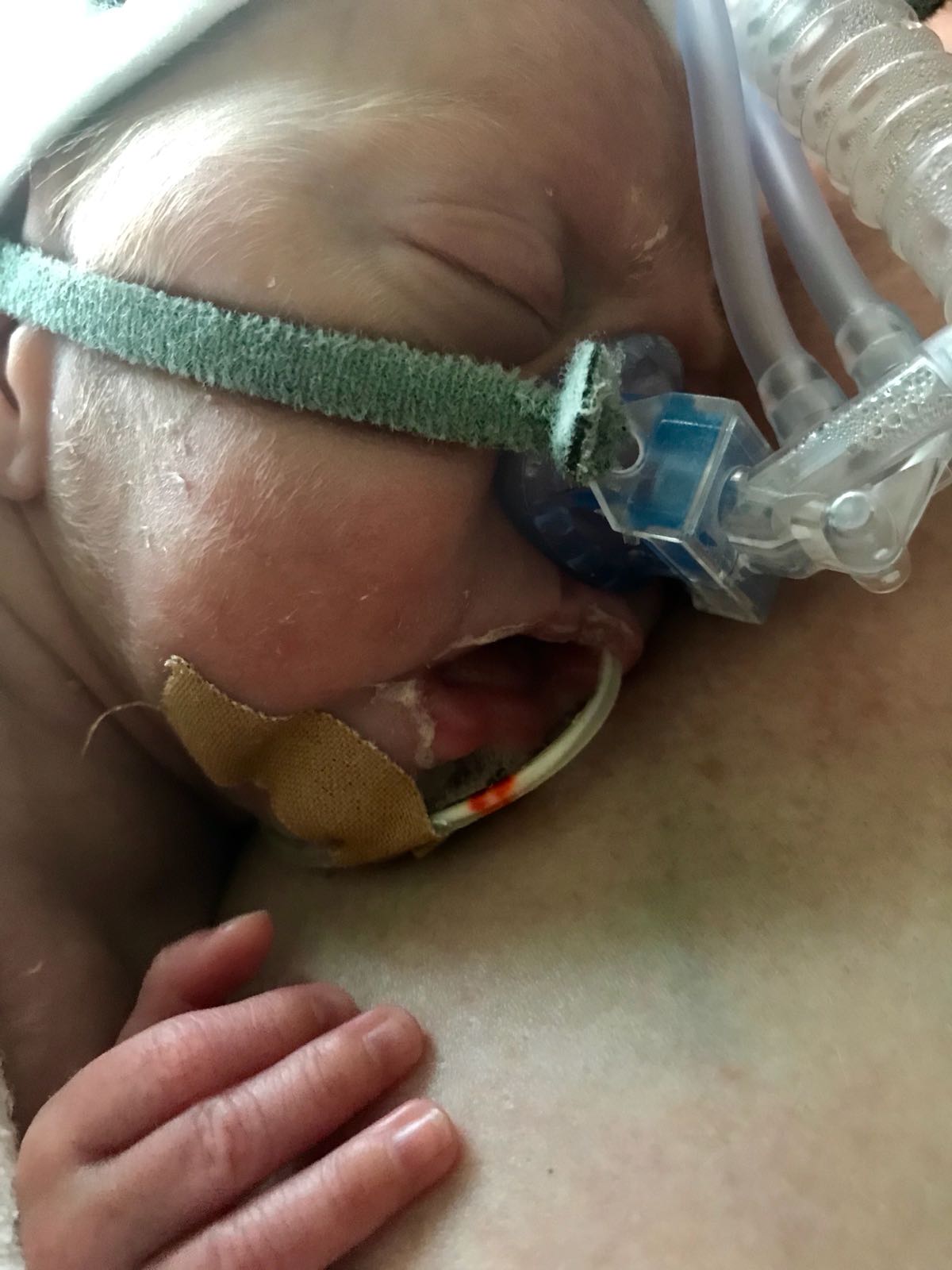 WhatsApp Image 2018 05 22 at 14.58.19