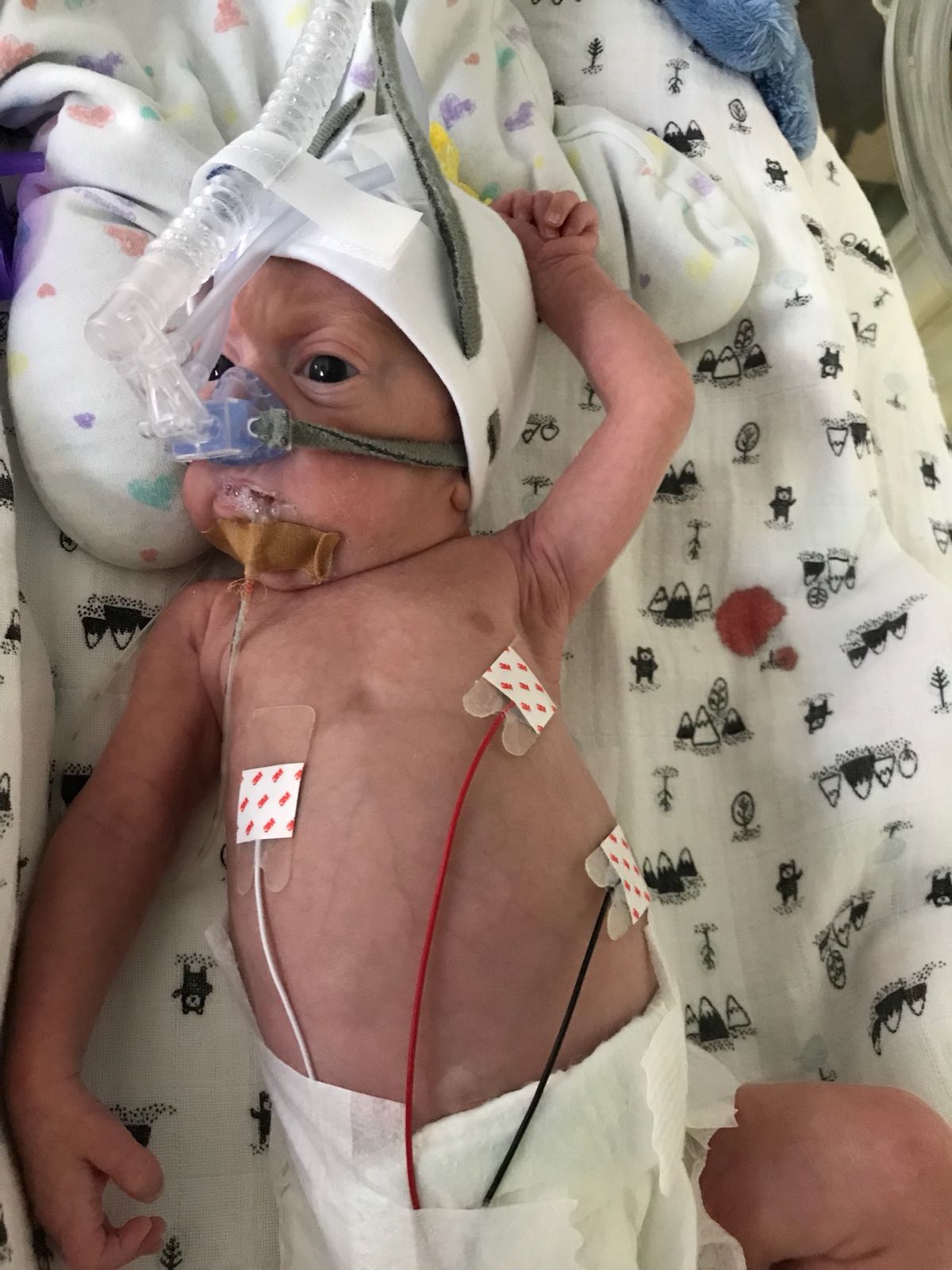 WhatsApp Image 2018 05 25 at 21.44.05