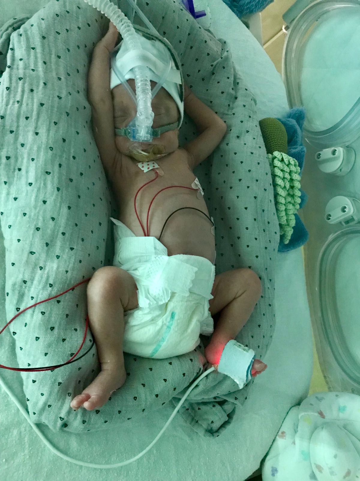 WhatsApp Image 2018 05 26 at 12.01.19