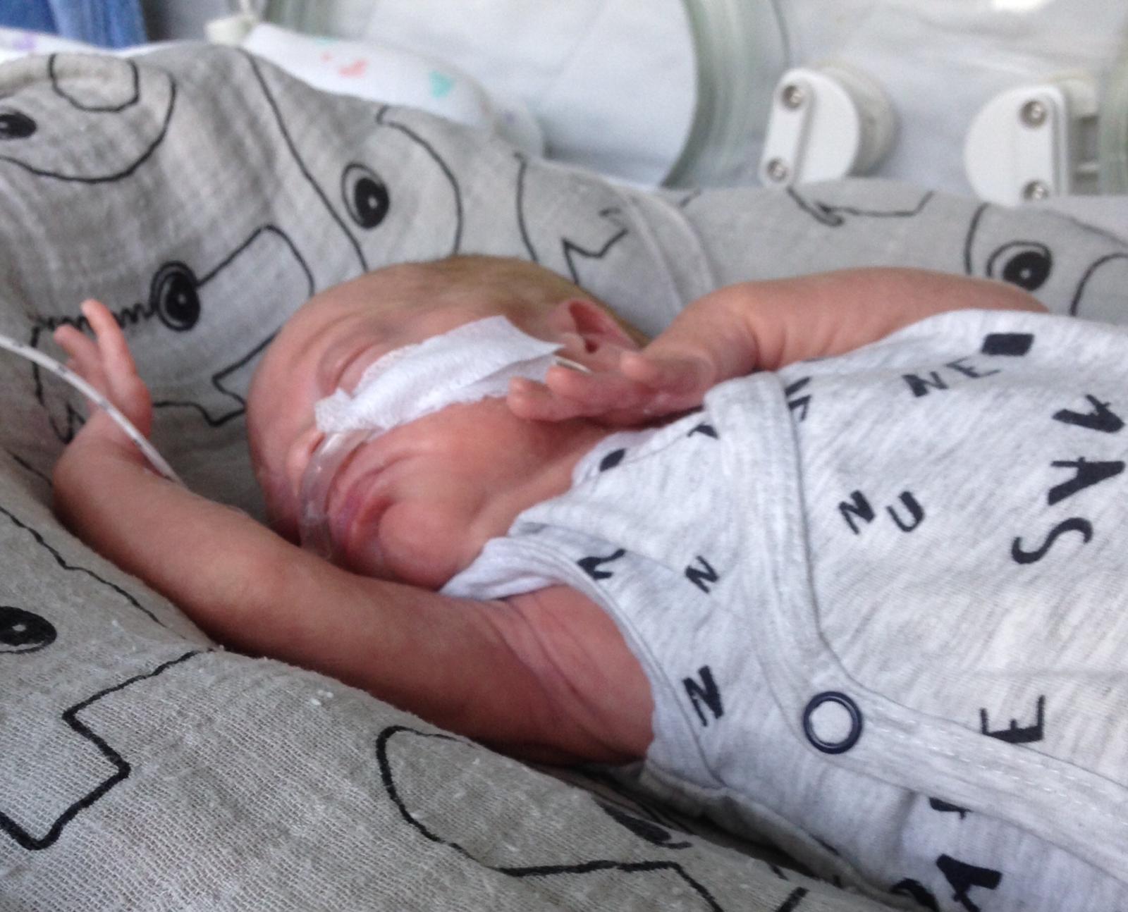 WhatsApp Image 2018 05 29 at 11.16.33