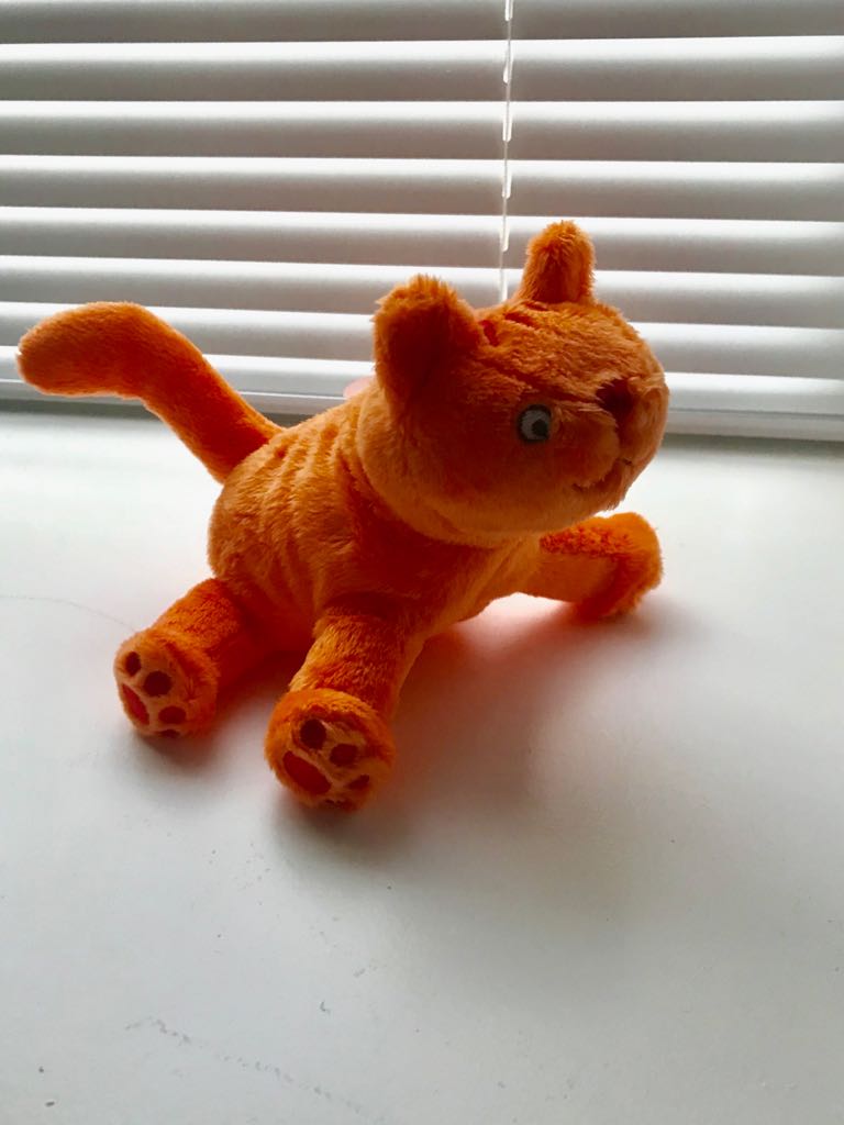 WhatsApp Image 2018 05 31 at 21.45.02 4