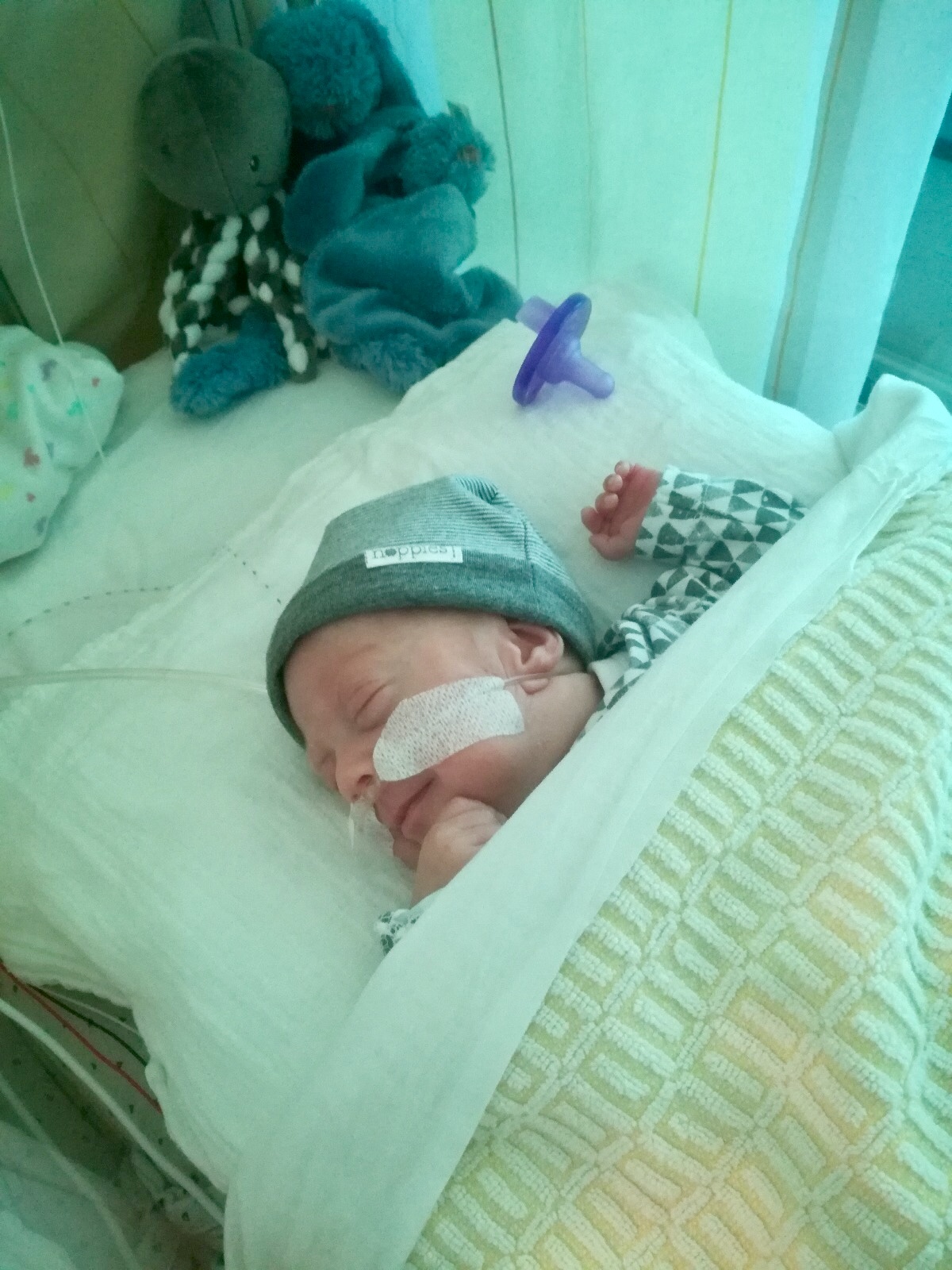 WhatsApp Image 2018 06 05 at 22.08.52