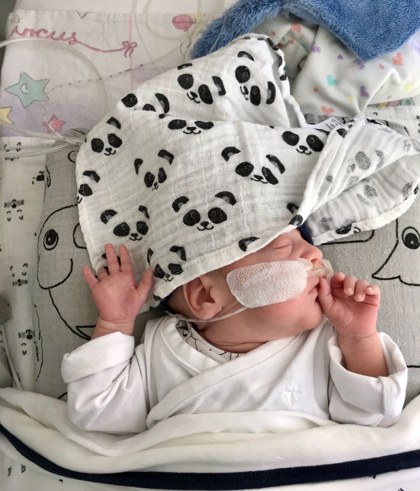 WhatsApp Image 2018 06 10 at 19.52.00