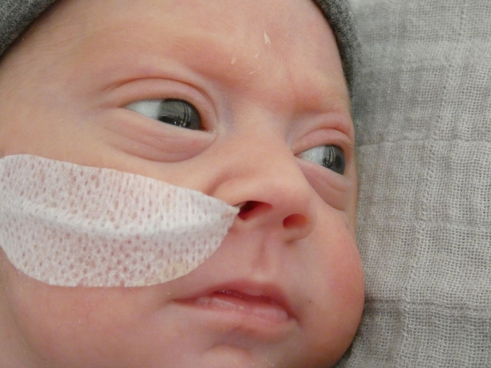 WhatsApp Image 2018 06 12 at 13.28.01