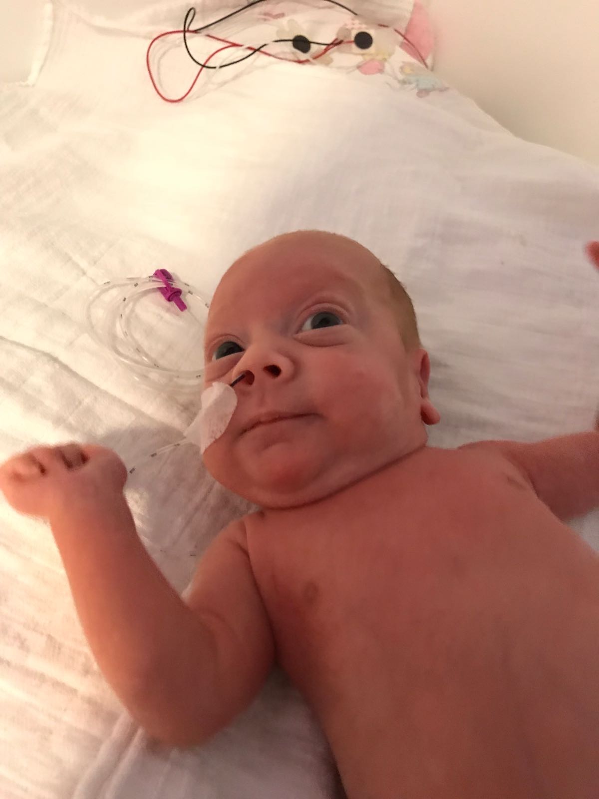 WhatsApp Image 2018 06 13 at 21.31.00