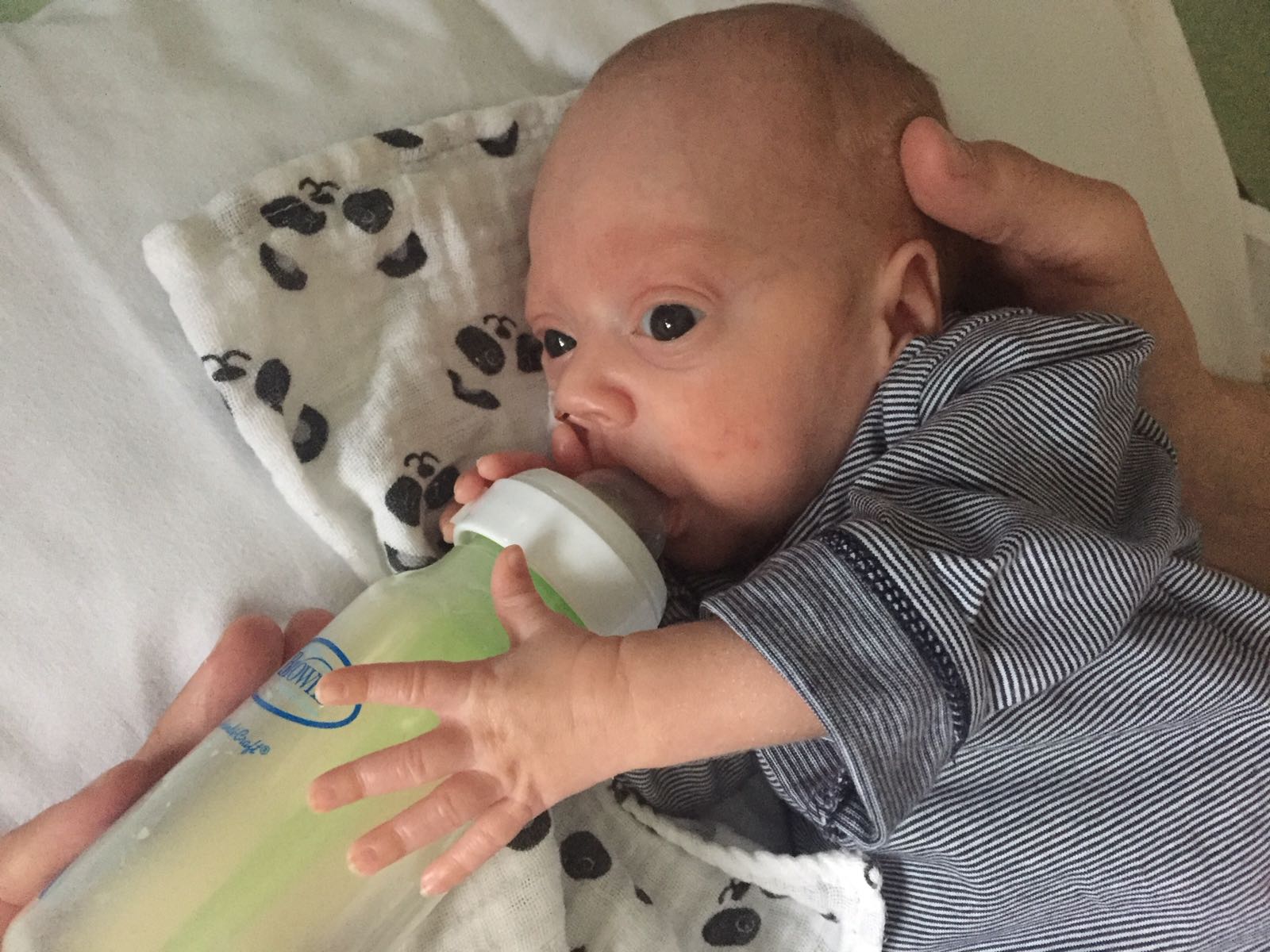 WhatsApp Image 2018 06 14 at 20.42.00