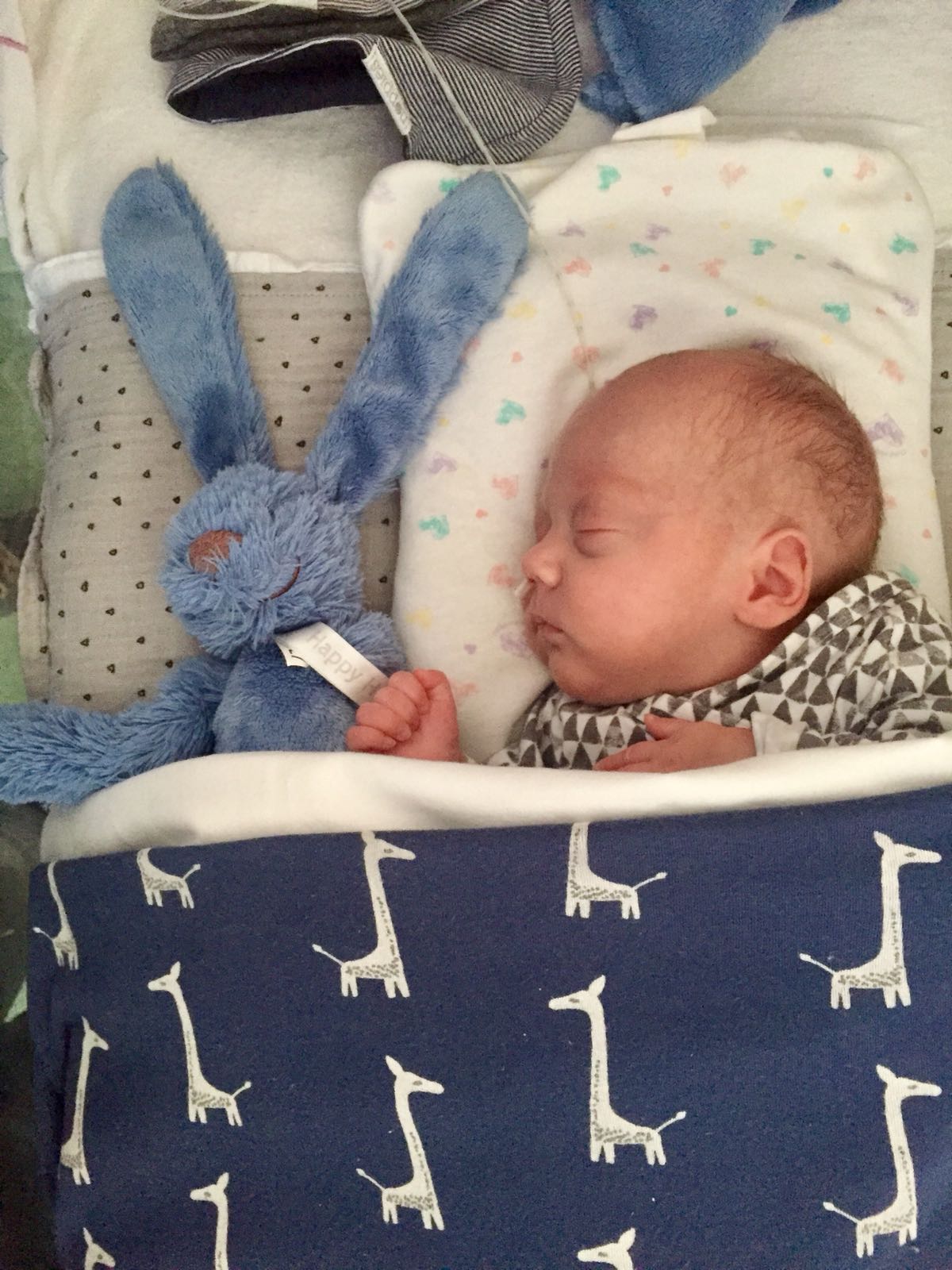 WhatsApp Image 2018 06 26 at 22.36.30