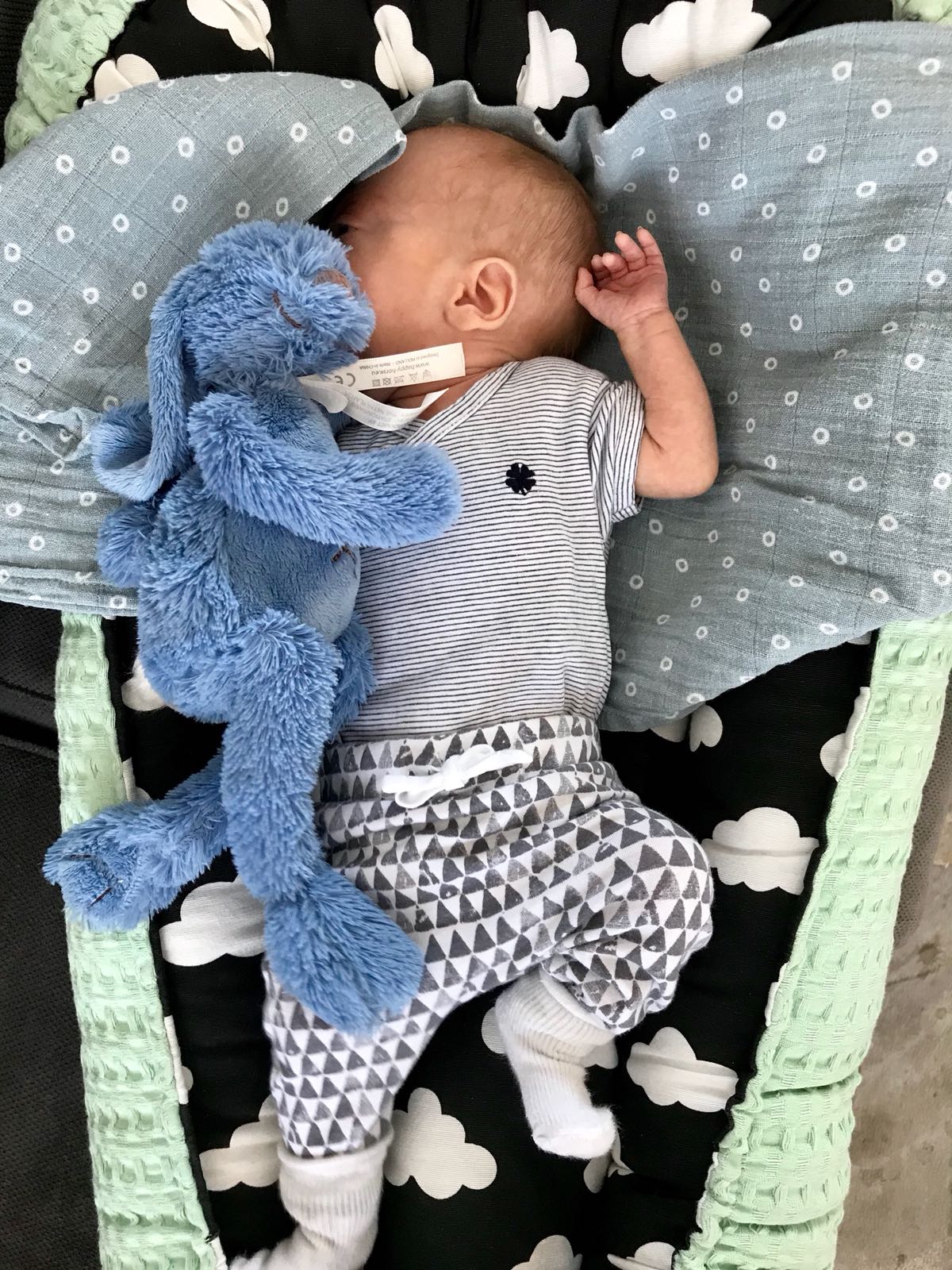 WhatsApp Image 2018 07 07 at 11.33.51